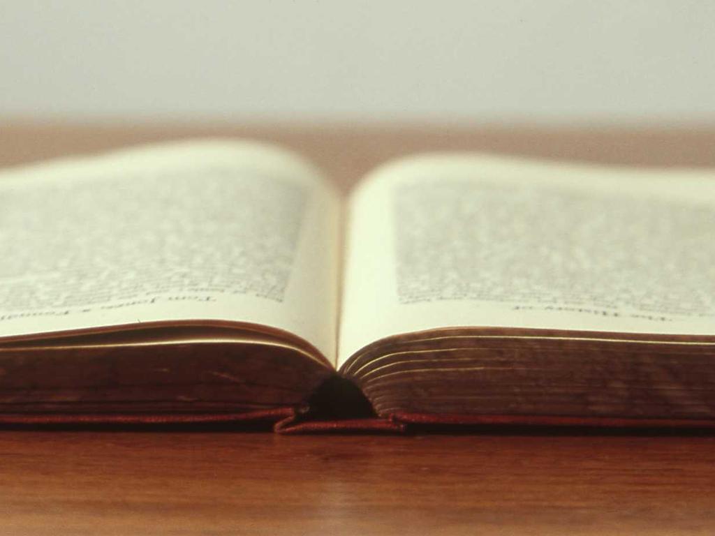 Article Image 4